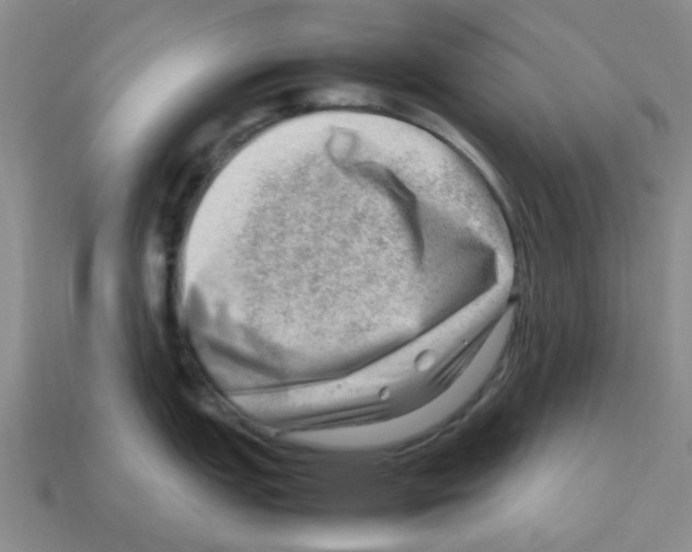 X0000112811151200910021135