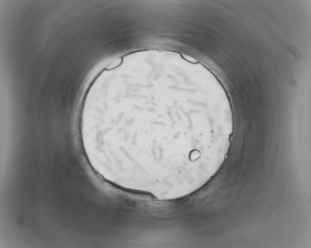 X0000112811152200910021135