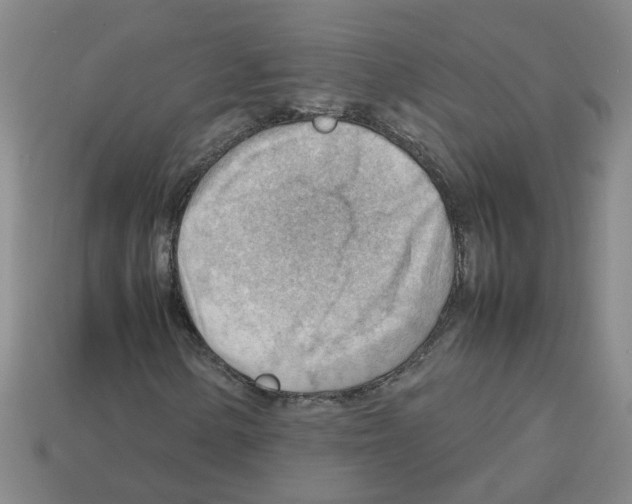 X0000112811154200910021135