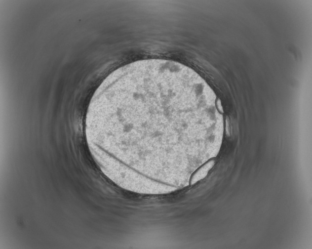 X0000112811155200910021135