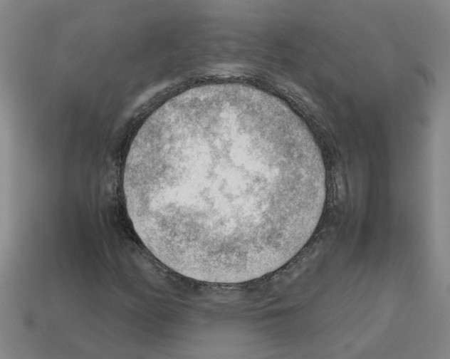 X0000112811158200910021134