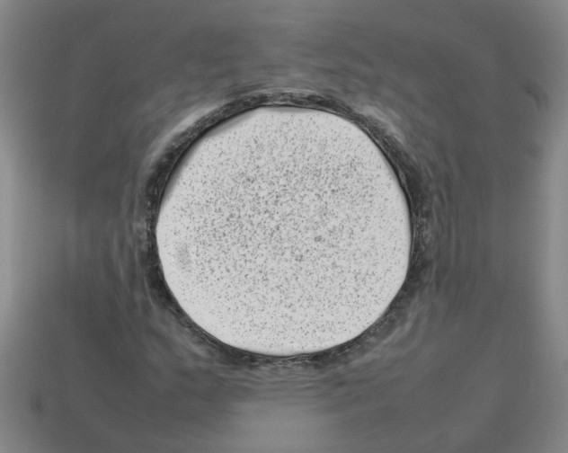 X0000112811159200910021134