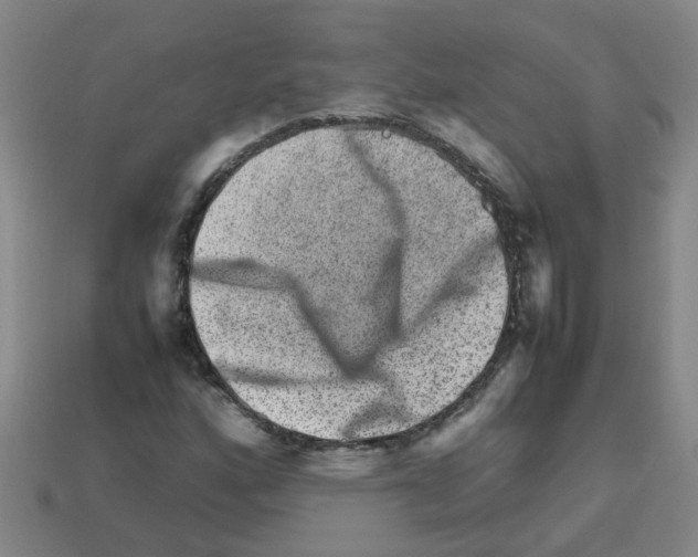 X0000112811160200910021134