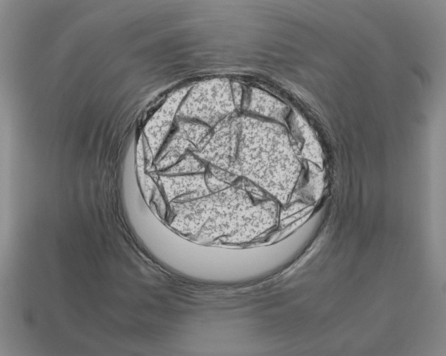 X0000112811161200910021134