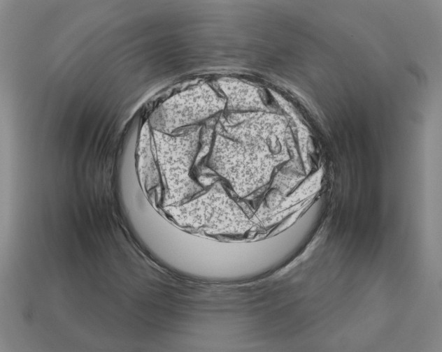 X0000112811162200910021134