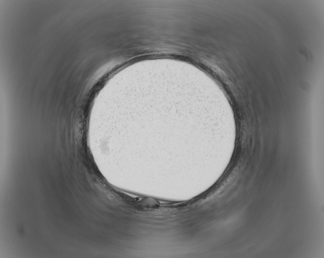 X0000112811163200910021134