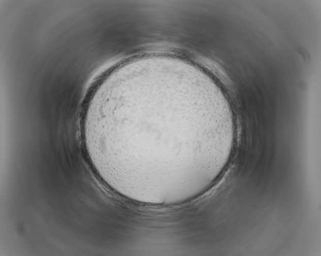 X0000112811164200910021134