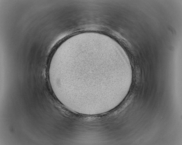X0000112811166200910021134
