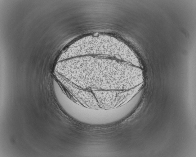 X0000112811169200910021134