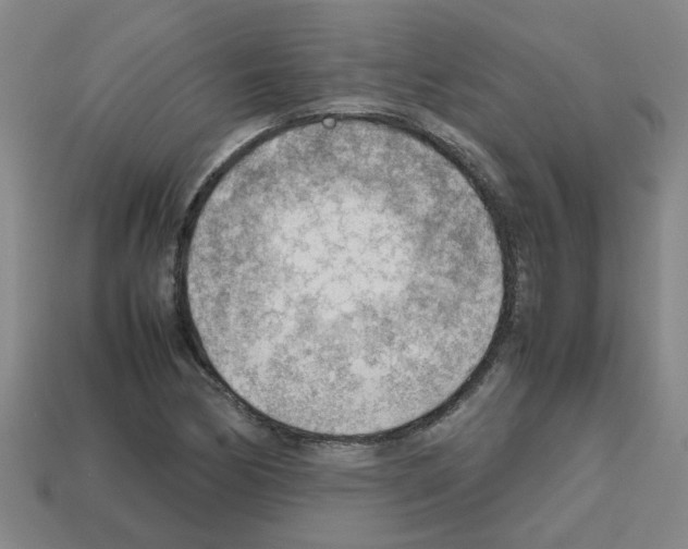X0000112811170200910021134
