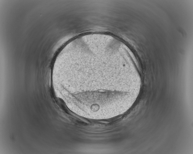 X0000112811171200910021134