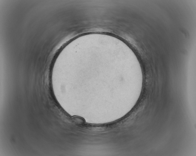 X0000112811173200910021134
