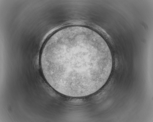 X0000112811174200910021134