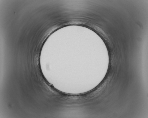 X0000112811177200910021134