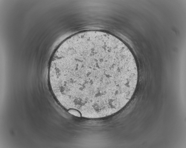 X0000112811179200910021134