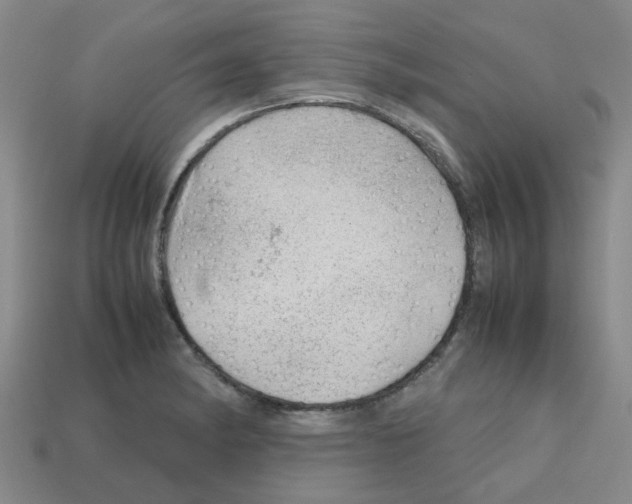 X0000112811182200910021134
