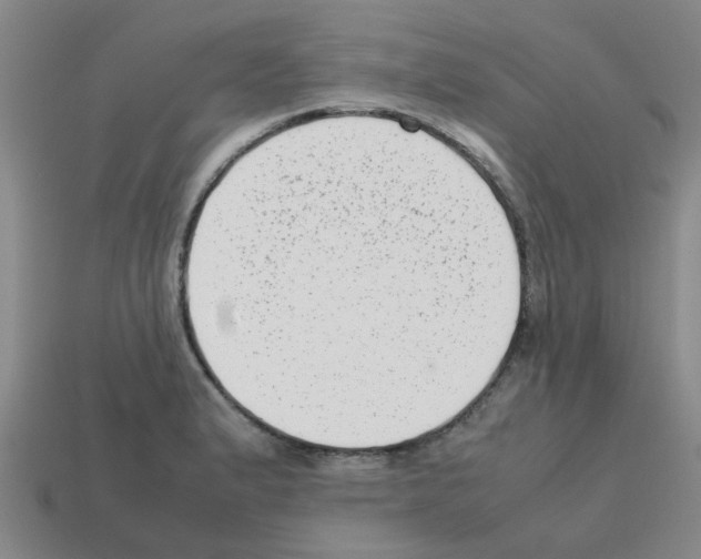 X0000112811183200910021134