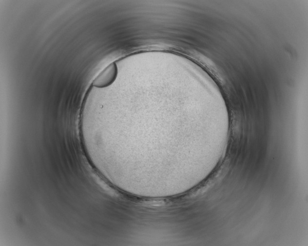 X0000112811186200910021134