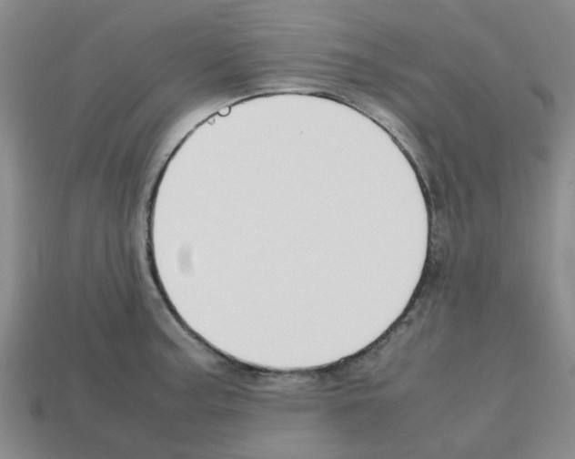 X0000112811187200910021134