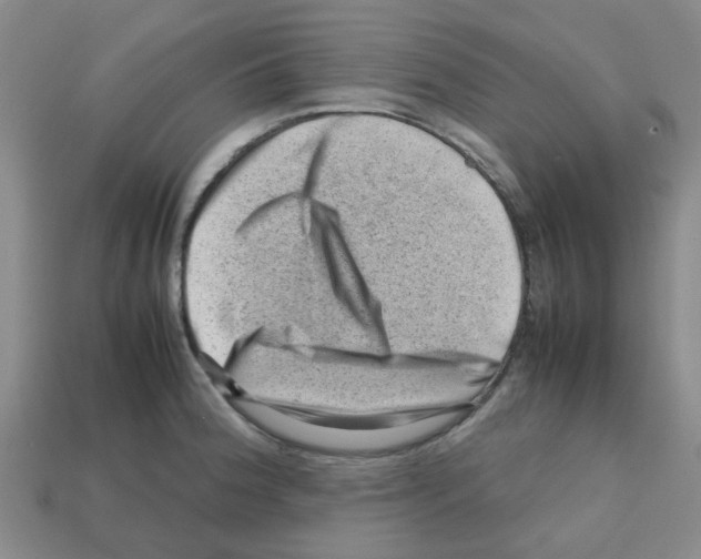 X0000112811188200910021134