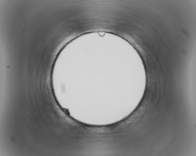 X0000112811189200910021134