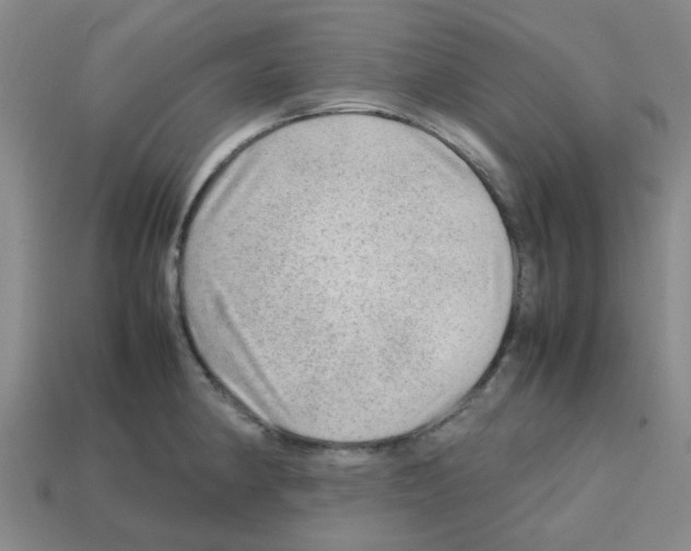 X0000112811190200910021134