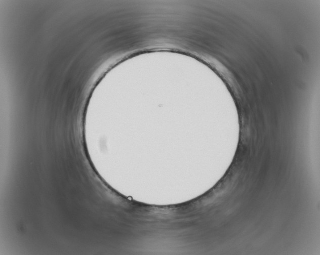 X0000112811191200910021134