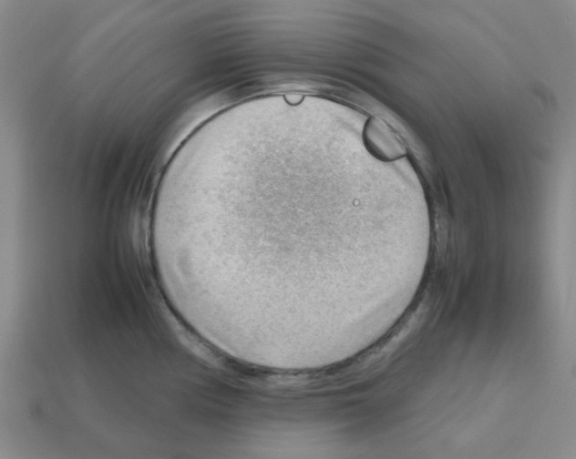 X0000112811194200910021134