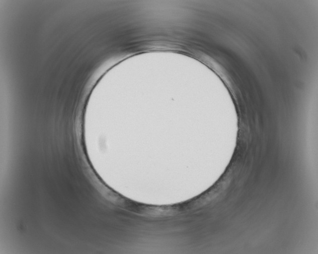 X0000112811195200910021134