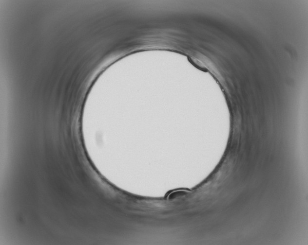 X0000112811197200910021134