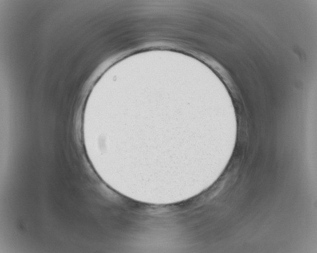 X0000112811199200910021134