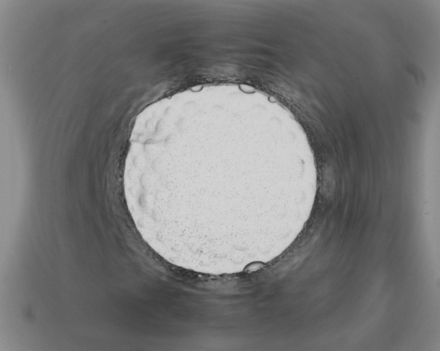 X0000112811201200910021133