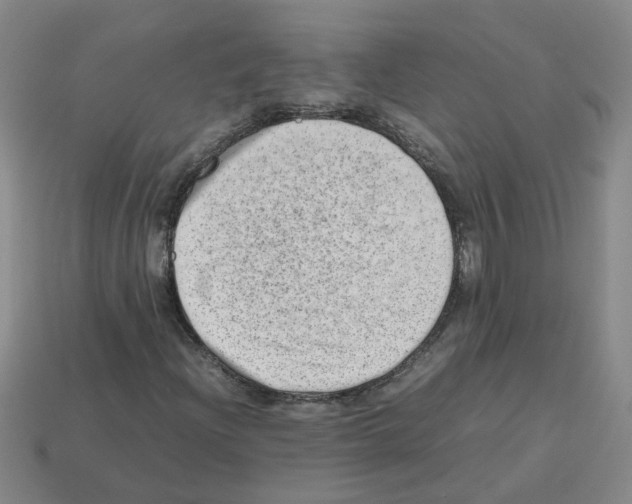 X0000112811204200910021133