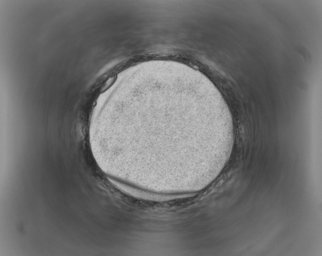 X0000112811206200910021133