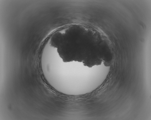 X0000112811208200910021133