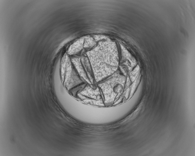 X0000112811210200910021133