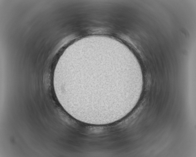 X0000112811211200910021133