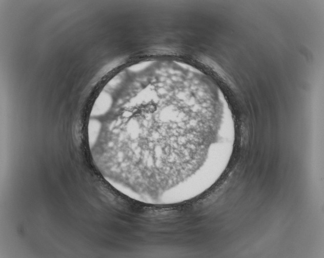 X0000112811213200910021133