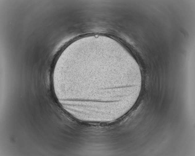 X0000112811214200910021134