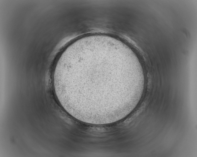 X0000112811215200910021134