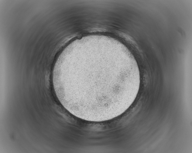 X0000112811217200910021134