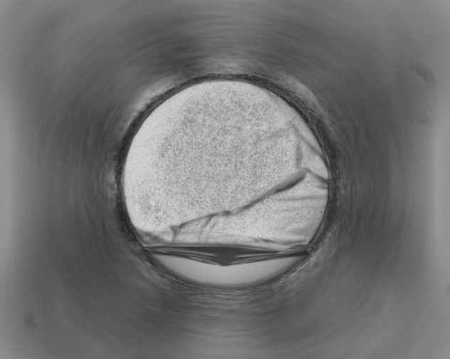 X0000112811218200910021134
