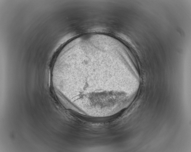 X0000112811219200910021134