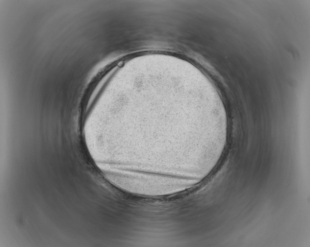 X0000112811222200910021134