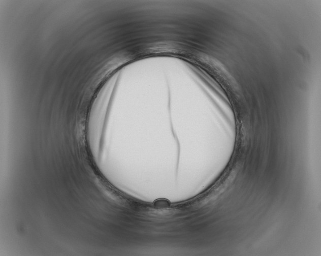 X0000112811225200910021134
