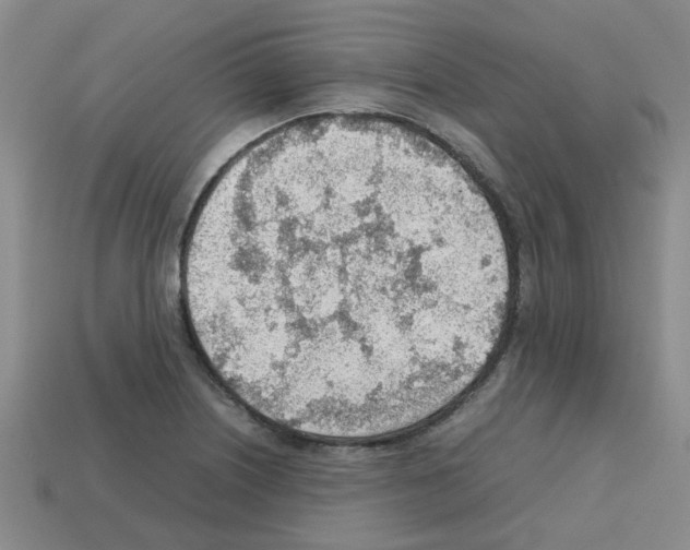 X0000112811226200910021134
