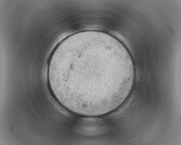 X0000112811227200910021134