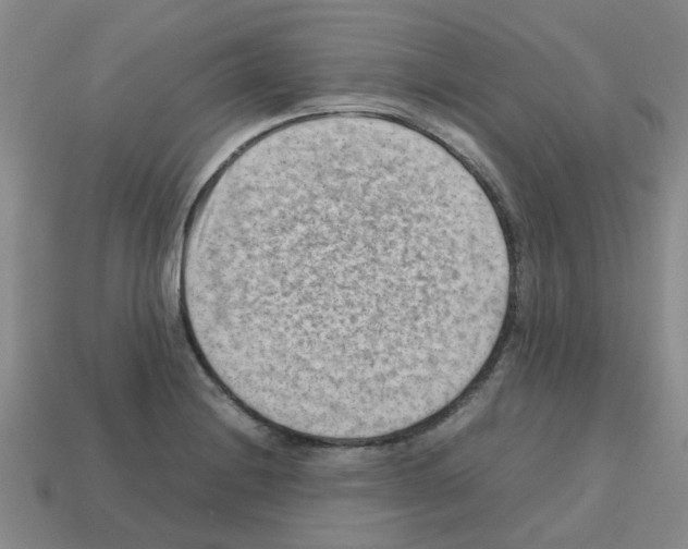 X0000112811228200910021134