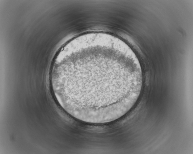 X0000112811229200910021134