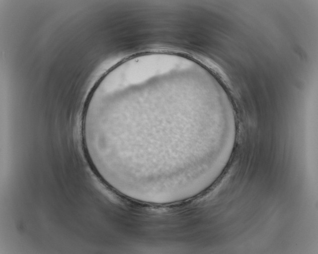 X0000112811231200910021134